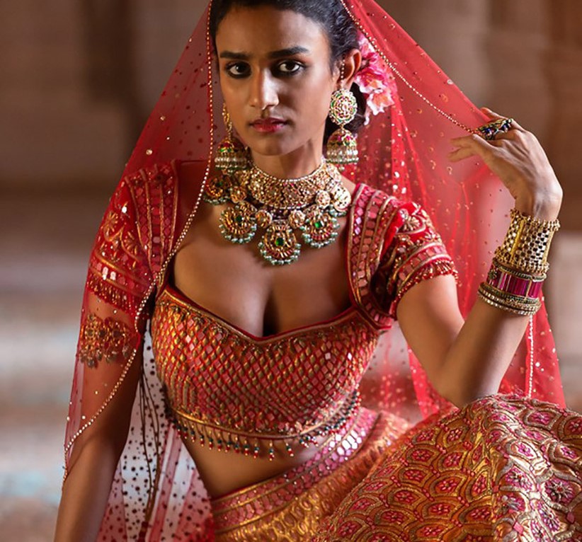Hot Red Bridal Indian Designer Net Fabric Saree SRPBT20602 –  ShreeFashionWear