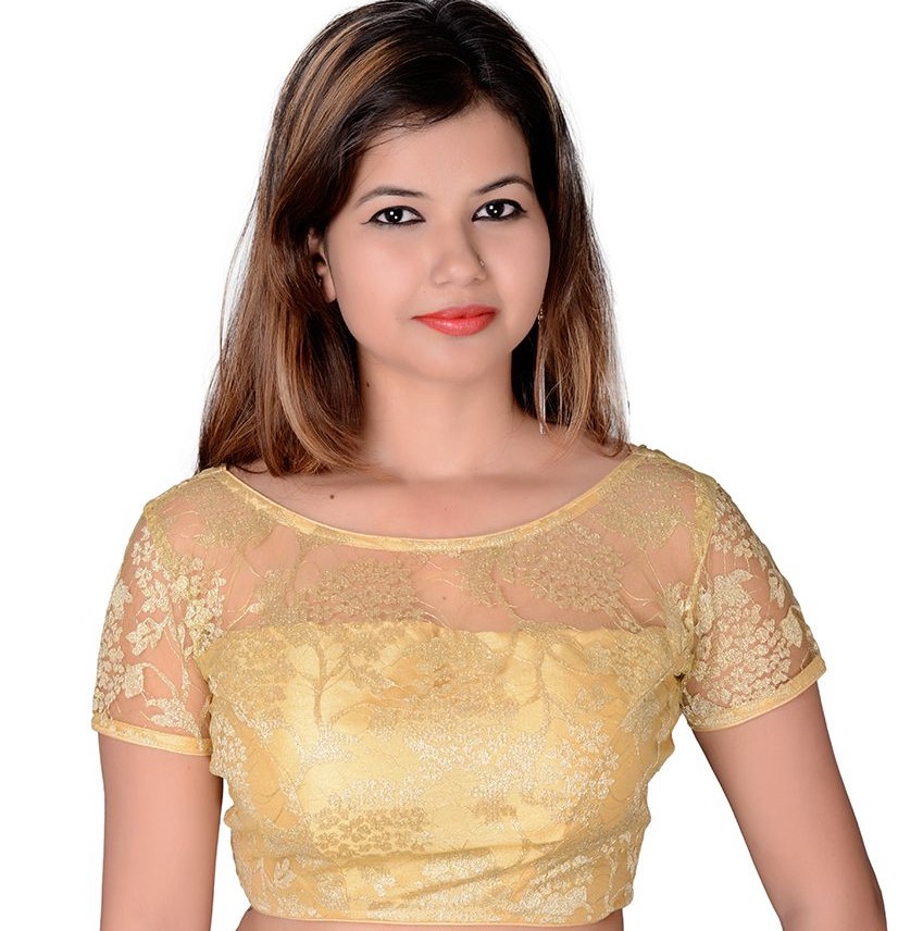 golden net blouse