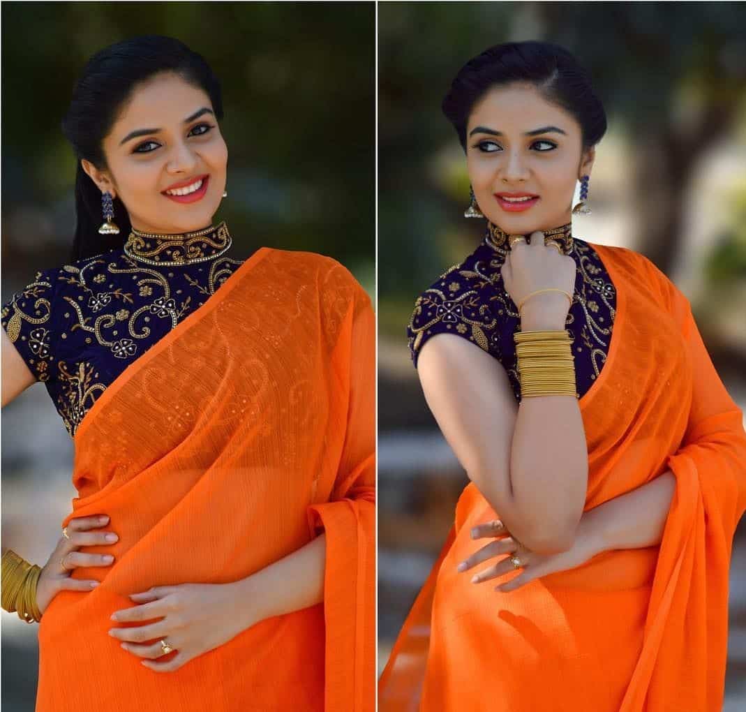 classic Kalamkari Sarees blouse